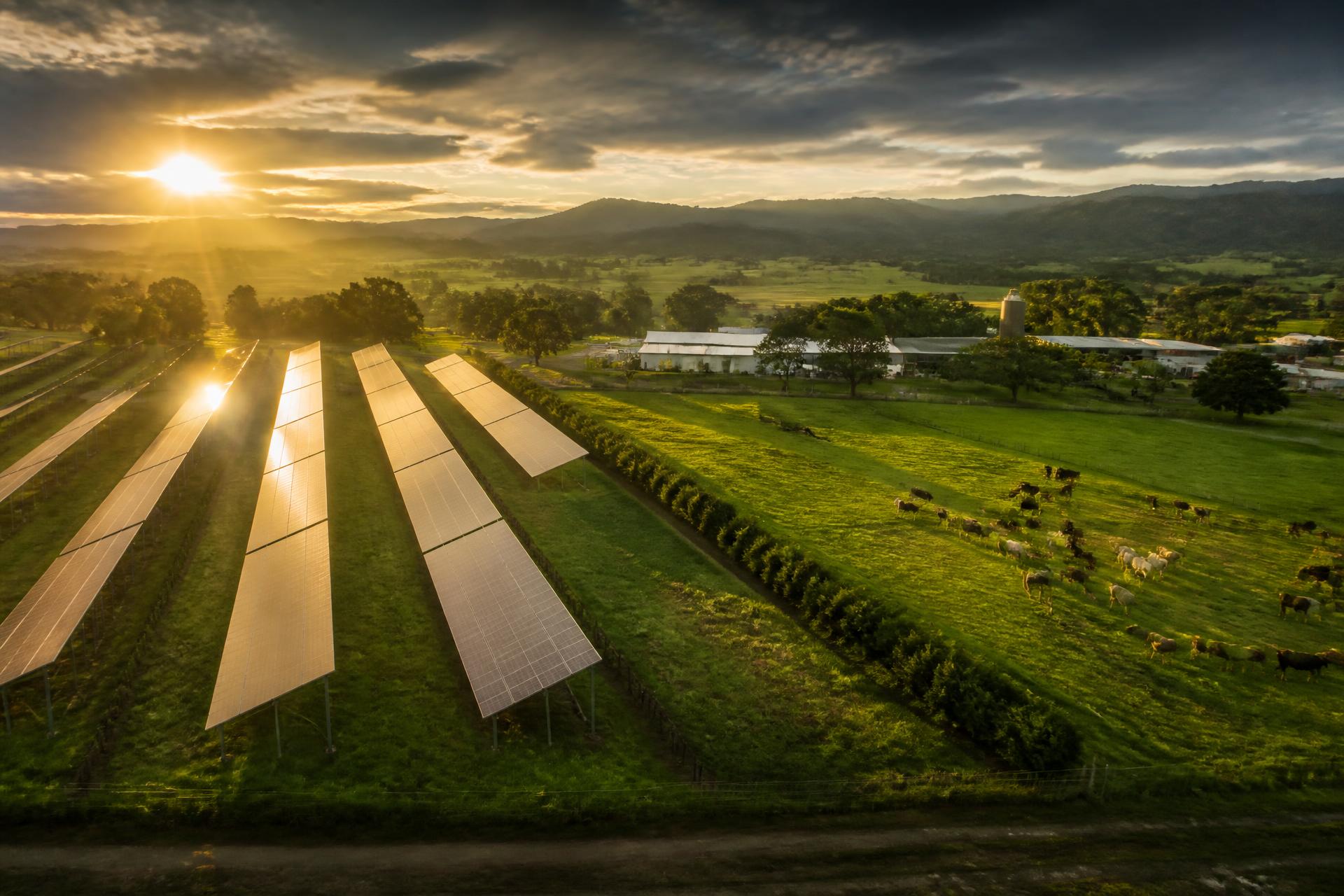 Panorámica aérea de paneles solares junto a potreros ganaderos al atardecer